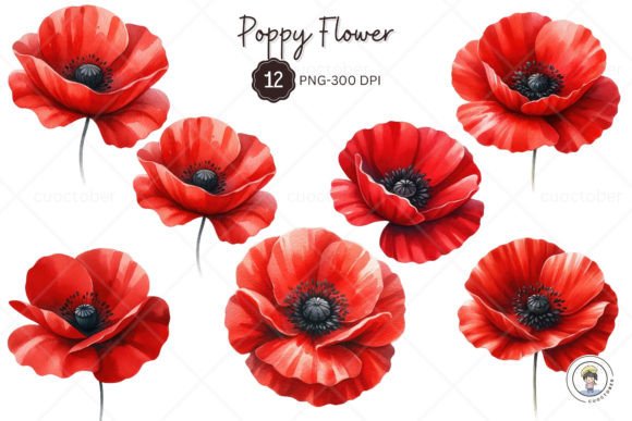 Download Watercolor Red Poppy Flower Clipart - Poppy Collection