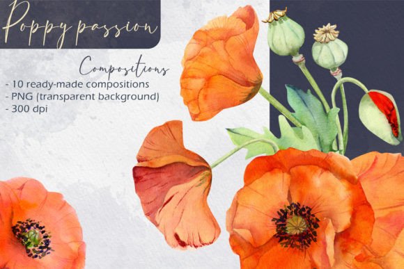 Download Poppy Passion: Compositions - Poppy Collection