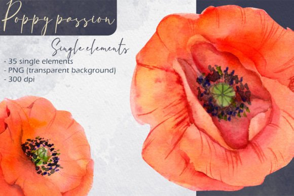 Download Poppy Passion: Single Elements - Poppy Collection