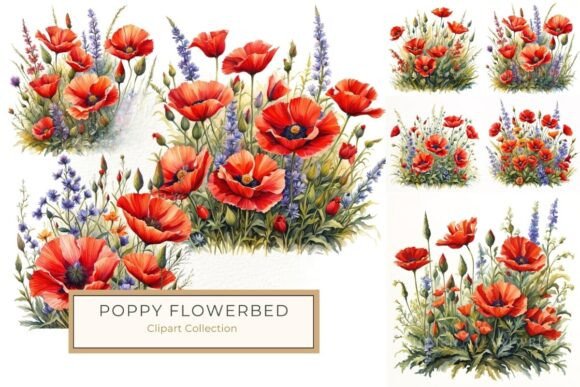 Download Watercolor Red Poppy and Wildflowers PNG - Poppy Collection