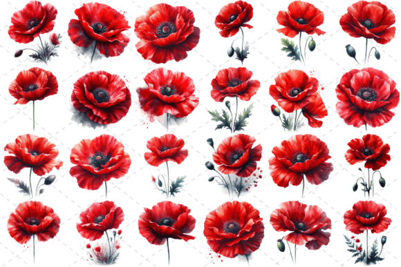 Download Poppify Watercolor Red Poppy Bundle - Poppy Collection