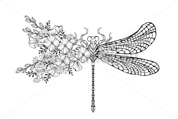 Download Dragonfly with Contour California Poppy - Poppy Collection