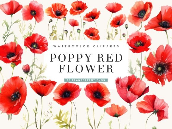 Download Poppy Red Flowers Clipart Bundle - Poppy Collection