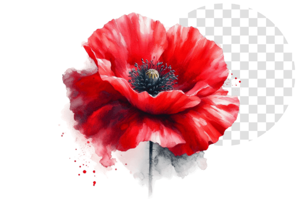 Download Poppify Watercolor Red Poppy Clipart - Poppy Collection